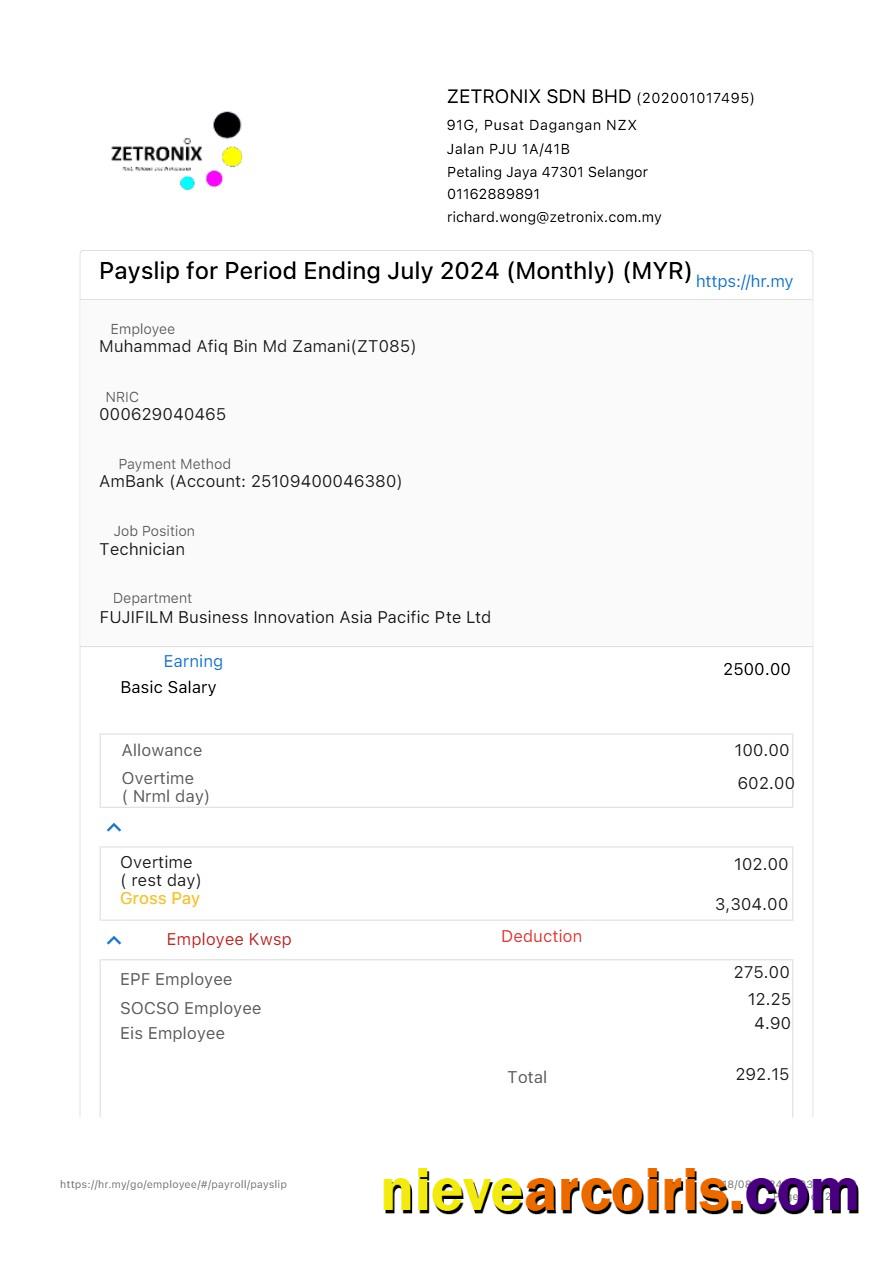 Zetronix payslip